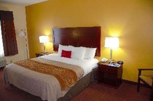 Americas Best Value Inn Saint Robert/Fort Leonard Wood Habitación foto